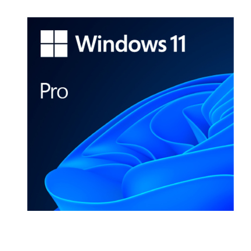 WINDOWS 11 PRO 1PK DSP OEM DVD